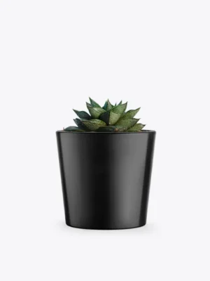 product image 3 optimized