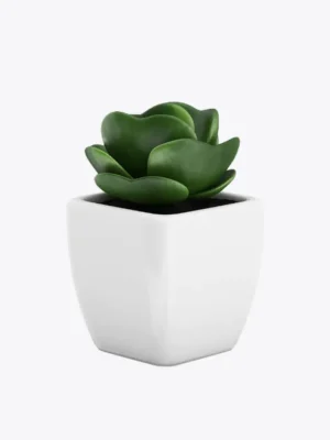 product image 9 optimized